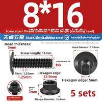 TIANZHUOJINSHU | Black 304 Stainless Steel Screw Nut Set