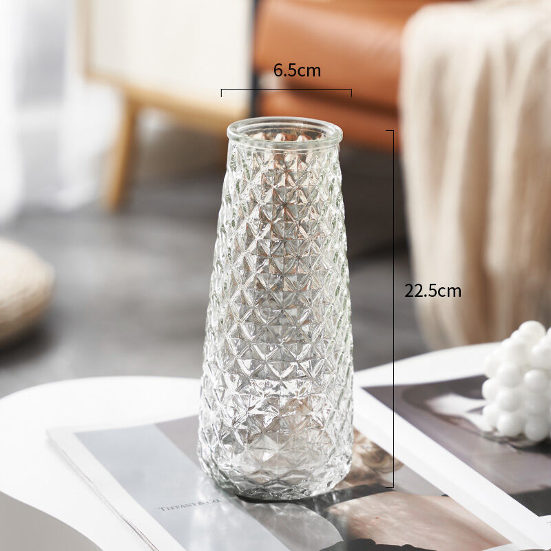ZHANGQIN | Nordic Style Simple Glass Vase for Fresh and Dried Flowers