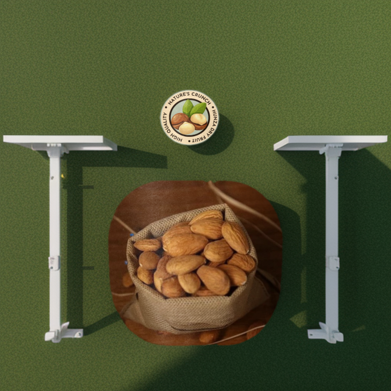 Apricot seed, Apricot kernel Hunza. 