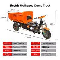 JINTONGCAIZI | Electric Tri-wheel Dump Cart