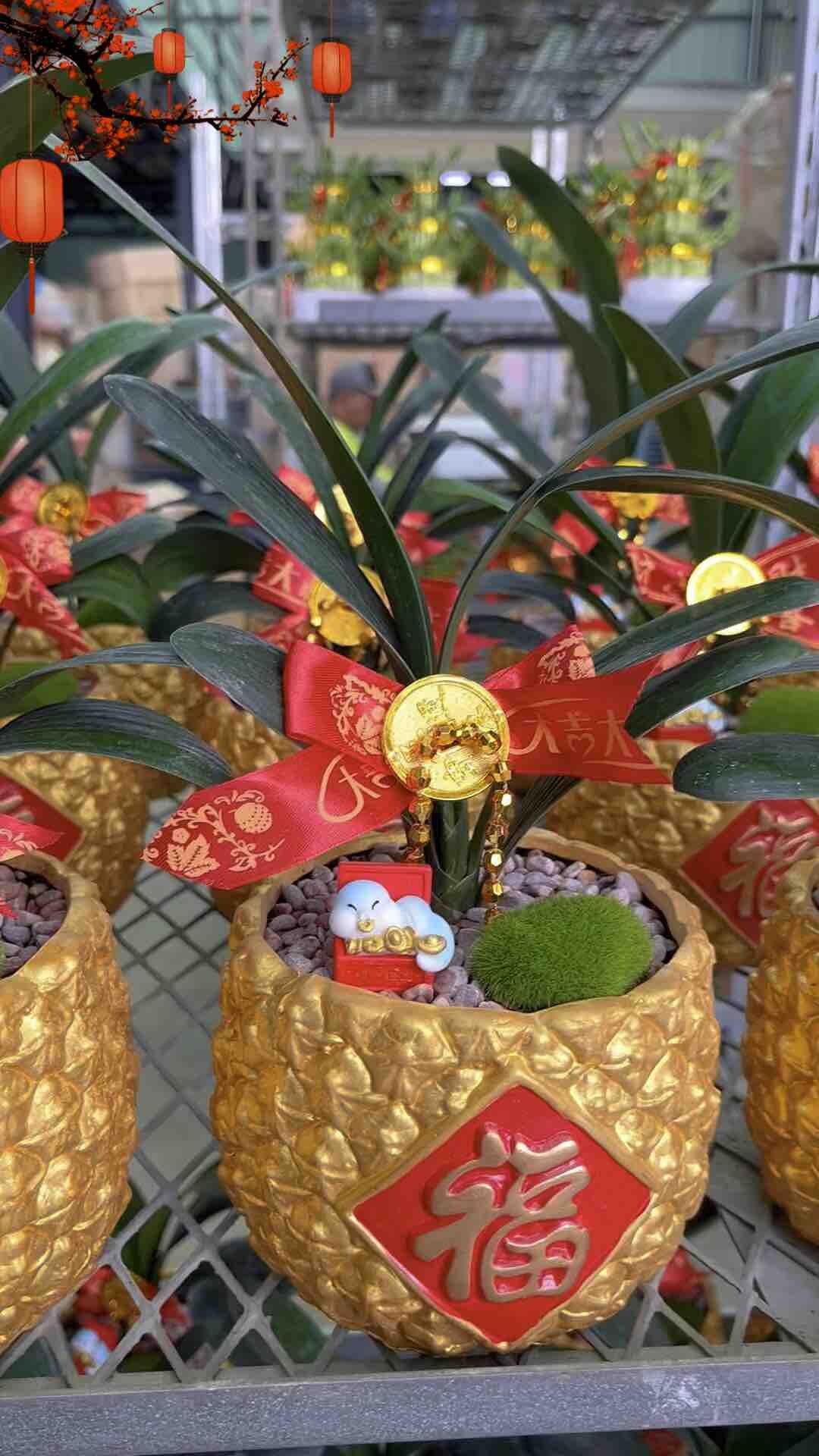 CNY 2026] TKL - 12 Chinese Zodiac with full decoration set [CNY