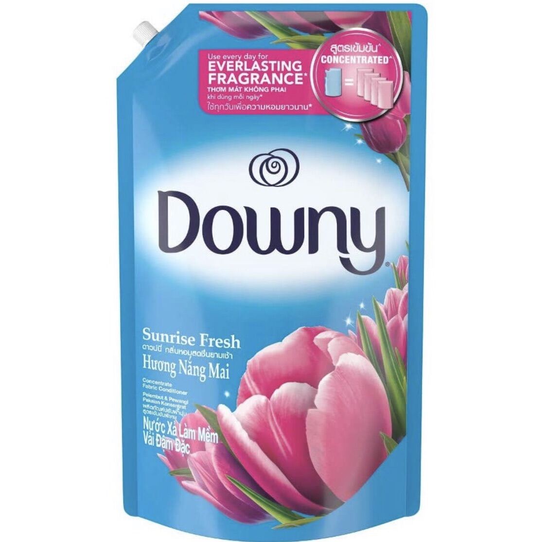 DOWNY LAUNDRY / FABRIC SOFTENER REFILL PACK | Lazada Singapore