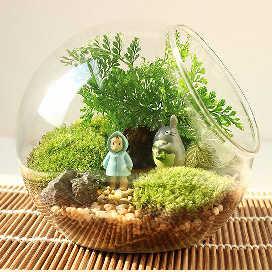 FEIZHUXIANSEN | Crystal Glass Terrarium