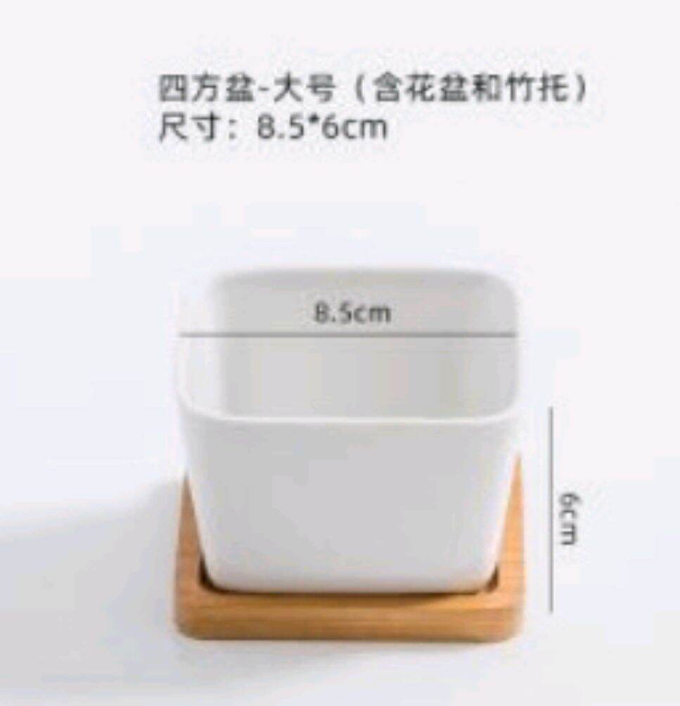 [ SG LOCAL SELLER READY STOCK ] Ceramic Plant Pot & Bamboo Base