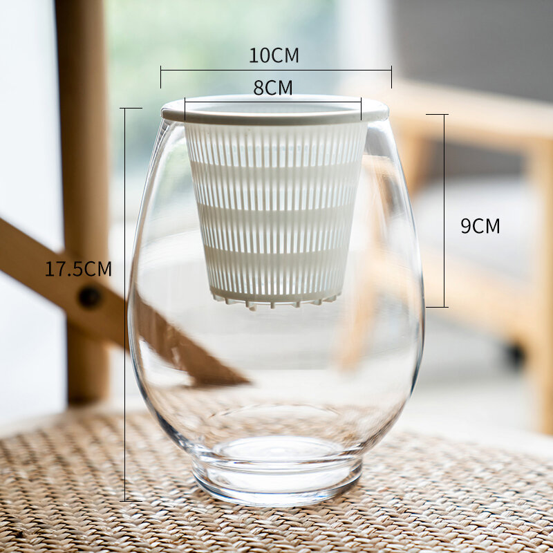 Transparent Glass Hydroponics Container Plant Grower Aquarium Money Grass Green Ivy Hanging Flower Vase Simple Style Desktop