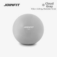 JOINFIT | Fitness Yoga Weight Loss Rehabilitation Ball