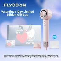 Flyco | Negative Ions Home Use Student Hair Dryer