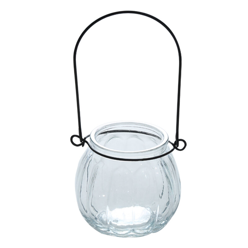 Modern Glass Desktop Flower Vase Office Decorations Hydroponic Green Plant Container Iron Stand Creative Home Decor Accessories