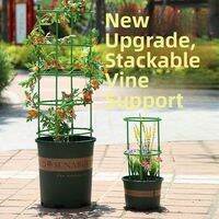 BEAUTISKY | Adjustable Plant Climbing Support Shelf
