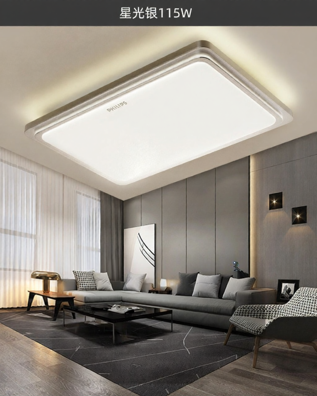 Philips | LED Ceiling Light Silver Rectangular For Living Room