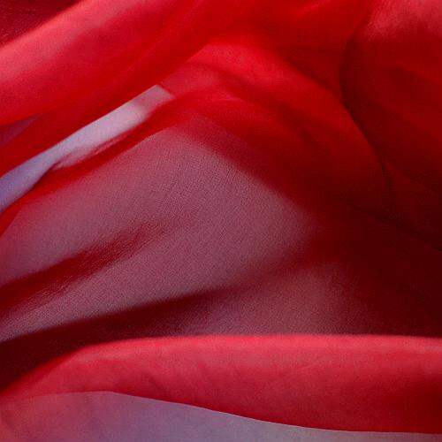 ZHANGRONGTU | Hand-embroidered Silk Organza Fabric