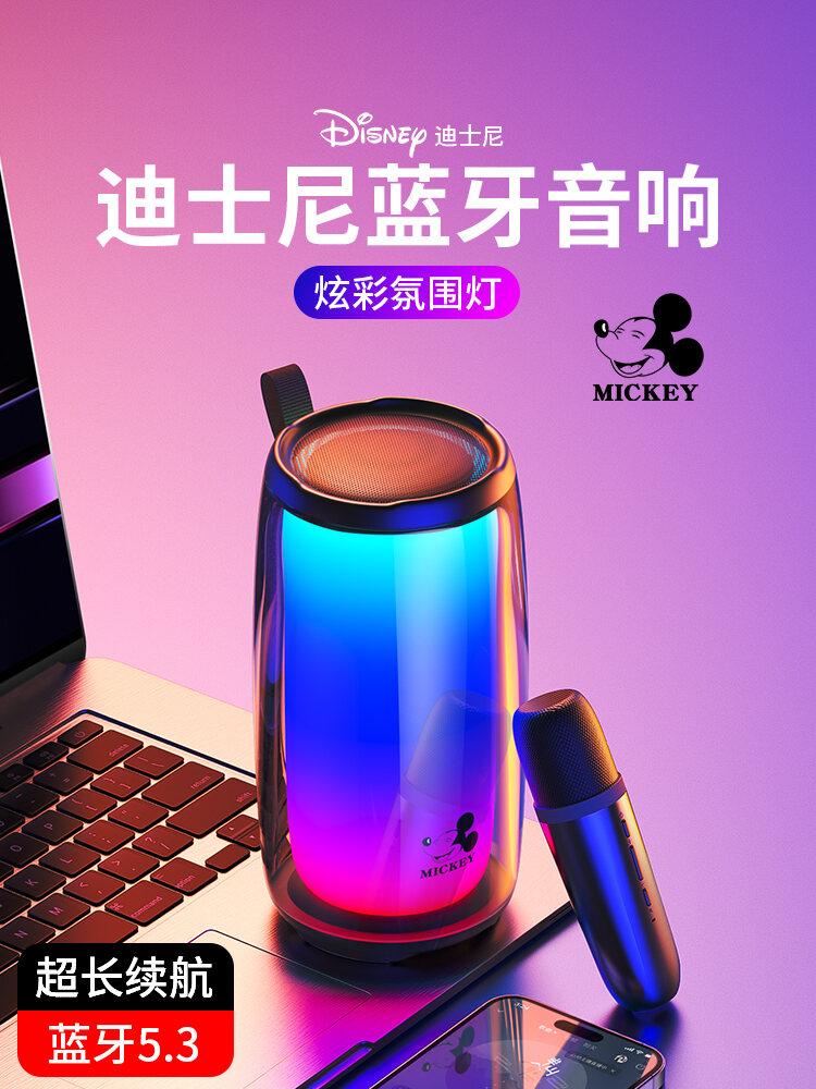 JaneEyre | Multi-function Bluetooth Speaker with Microphone