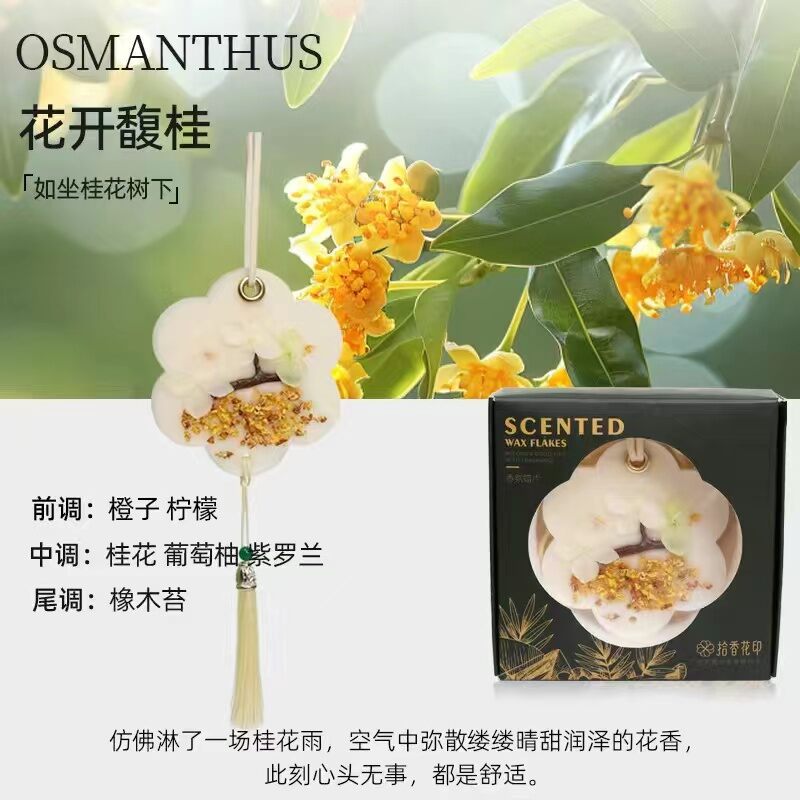 Odor-removing Home Fragrance Gift