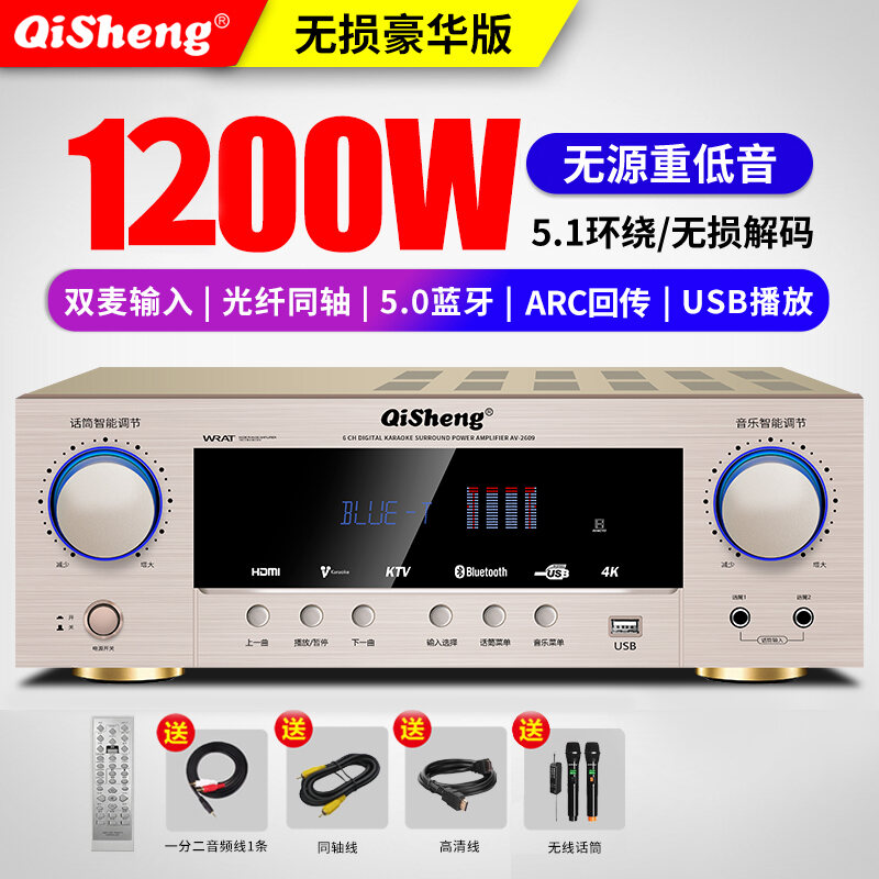 Qisheng 5.1 Power Amplifier Household Professional High-Power HiFi Subwoofer Karaoke Home Theater Amplifier Lazada Singapore