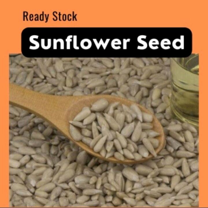 20kg sunflower seed