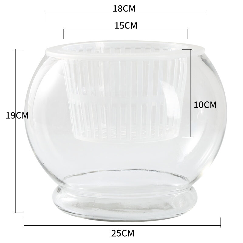 Transparent Glass Hydroponic Vase