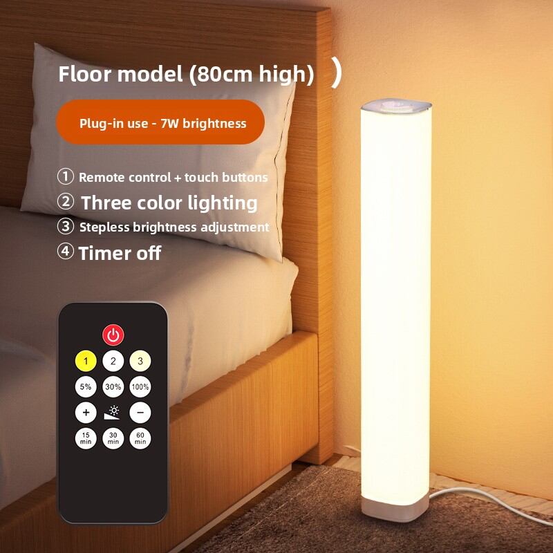 Minimalist New Remote Control Floor Lamp