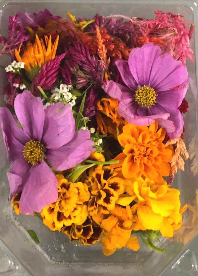 Edible Flowers Seasonal Mixed Photo For Illustration Purpose 3days Advanced Pre Order Required Lazada Singapore