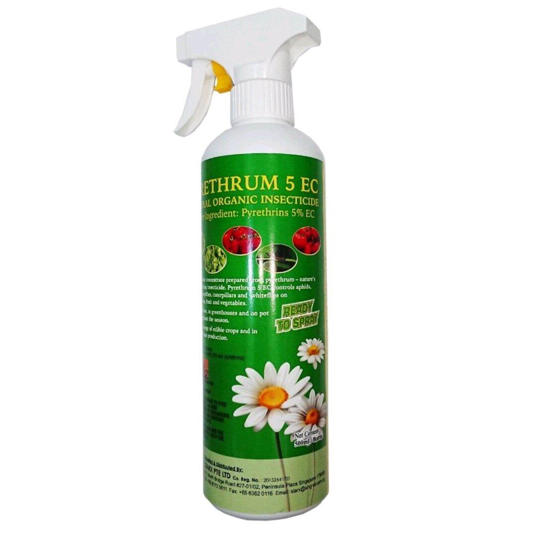 [SG 🇸🇬Store] Pyrethrum 5 EC Insecticide (500ml spray bottle) Lazada