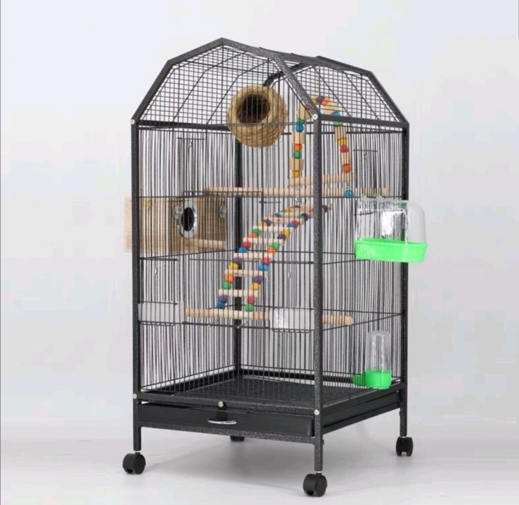 cage bird food suppliers