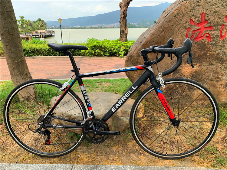 entry level carbon road bike