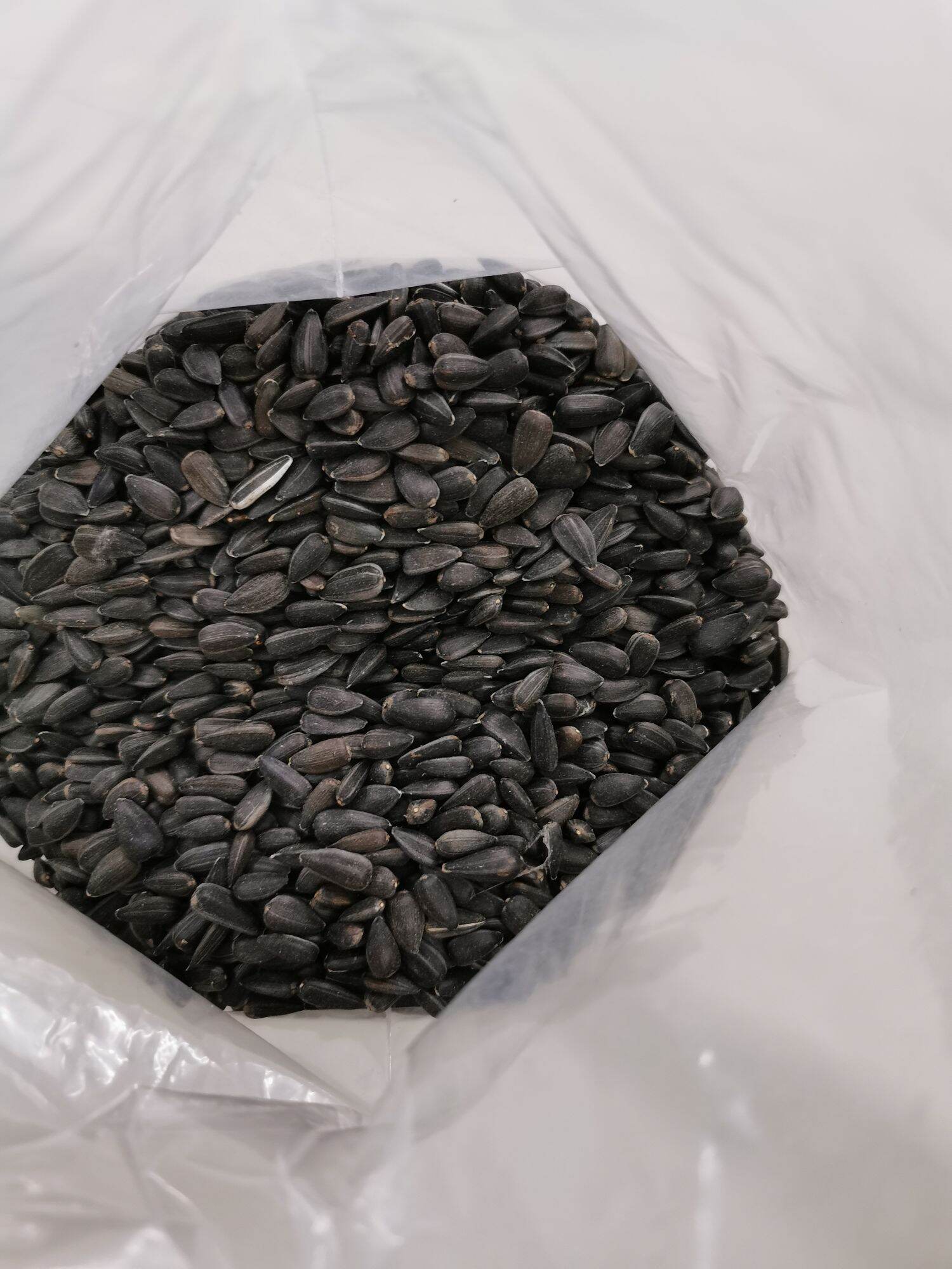 black sunflower seeds