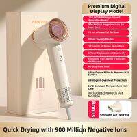 AUX | Quiet High-power Pet Hair Dryer