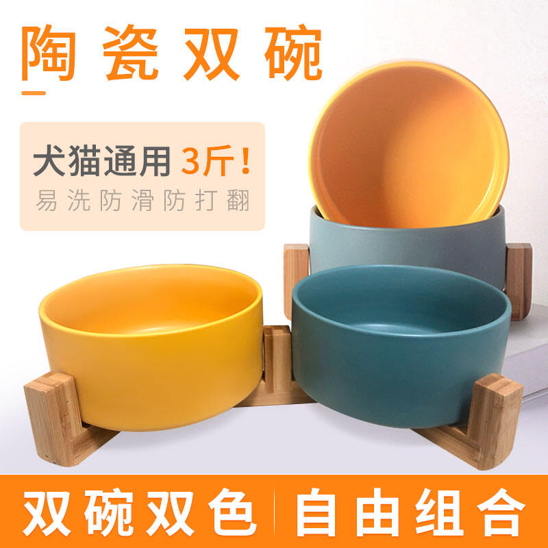 orange ceramic dog bowl