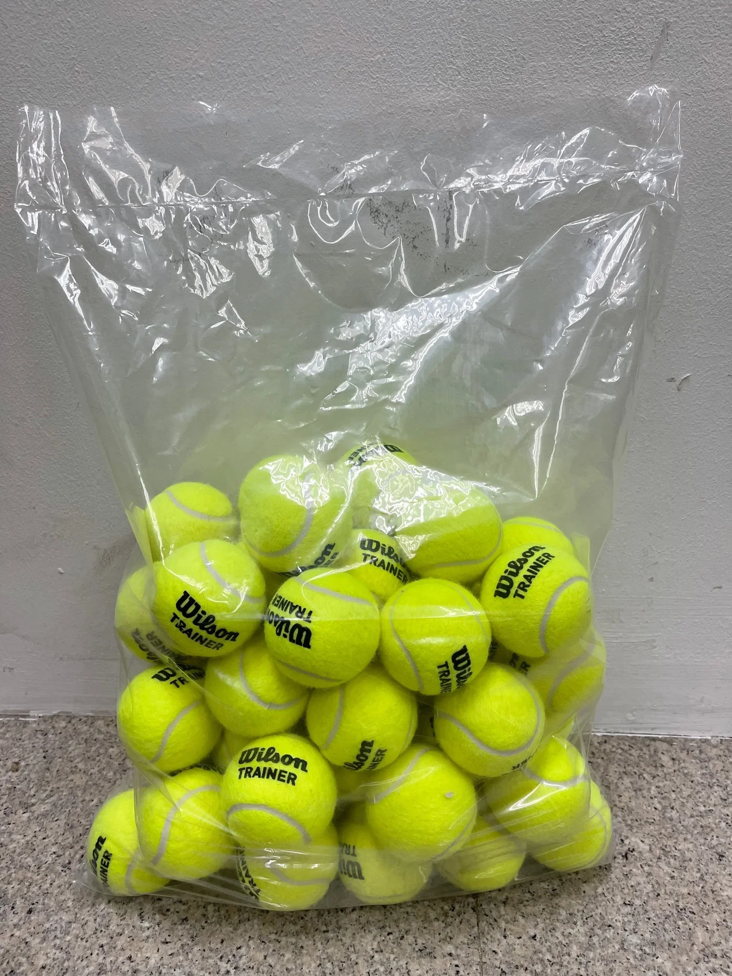 Wilson Team Trainer Tennis Ball (48 Balls) (Free gift worth $7.90)