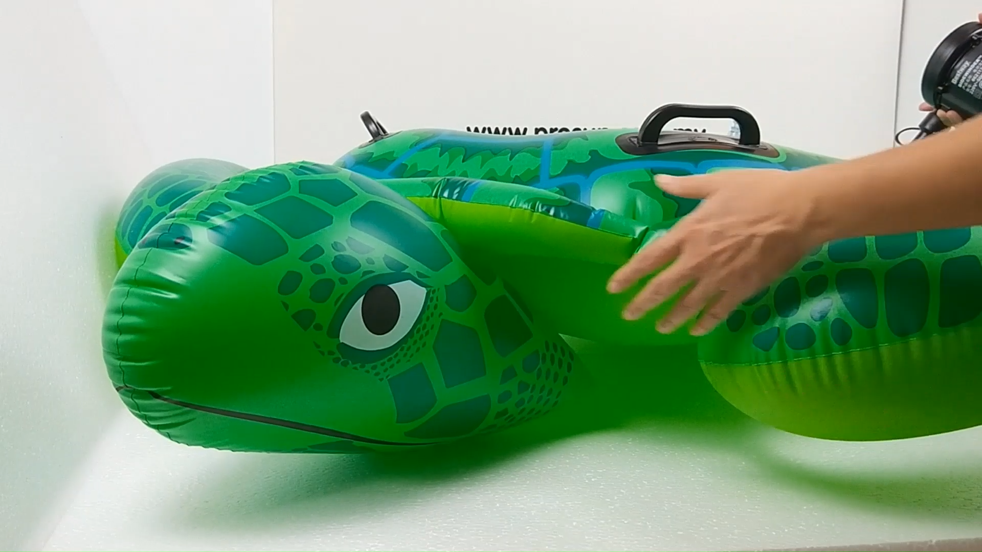 intex turtle pool float