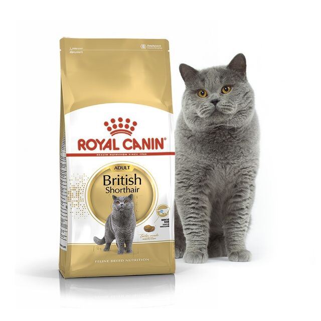 royal canin british shorthair biscuits