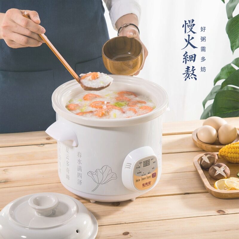 hannex electric stew pot