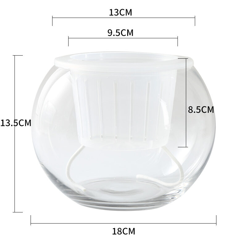 Transparent Glass Hydroponic Vase