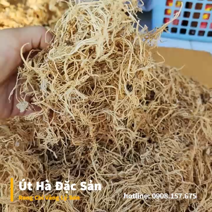 Rong Câu Chỉ Vàng Lý Sơn Bịch 100gr Rong Biển Tự Nhiên - Út Hà Đặc Sản