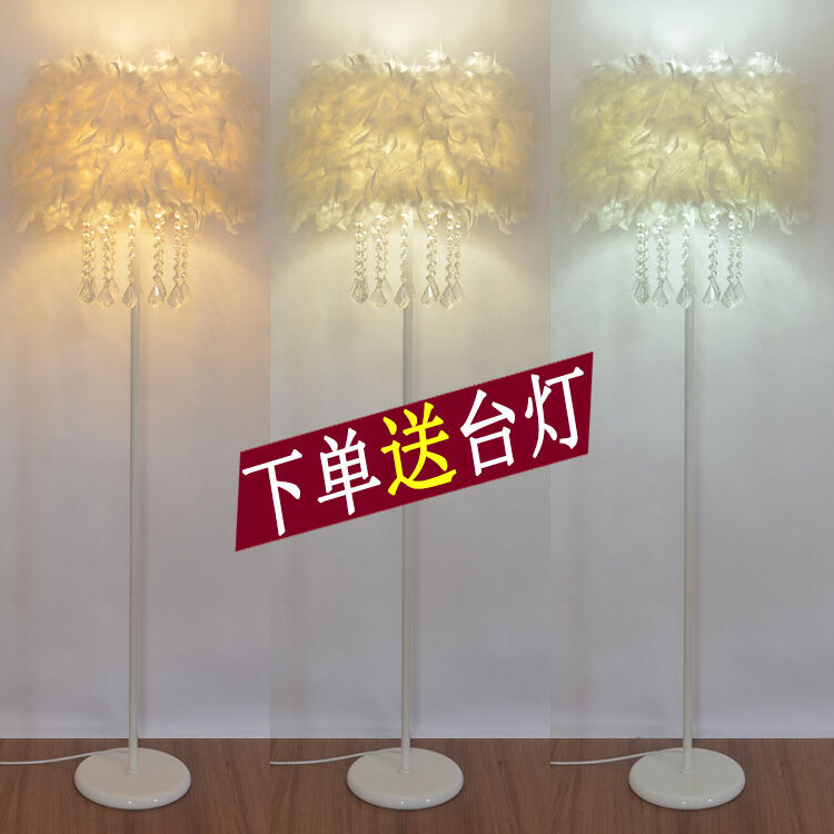 Internet Famous Crystal Feathers, Floor Lamp Anchor