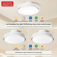 Bull | Invisible Ceiling Fan Light