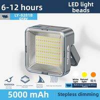 Smiling Shark | Strong Rechargeable LED Flood Light