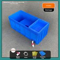 JILAIYAO | Thickened Large Scenic Turtle Tank With Drainage