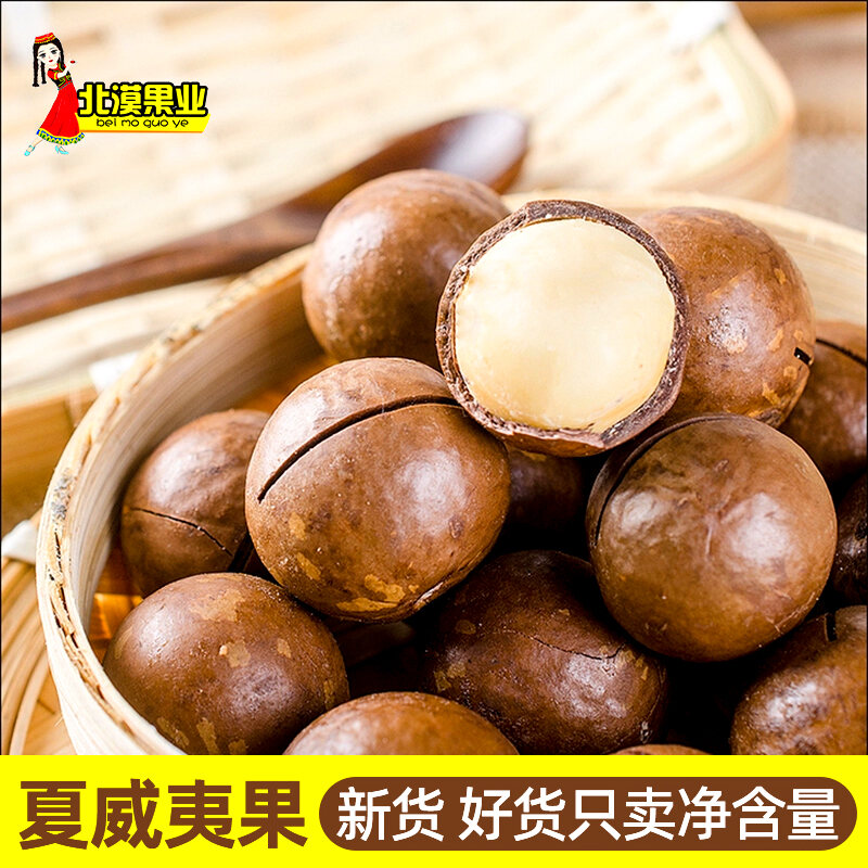 Macadamia Nut Nuts 500G Bulk Sold by Half Kilogram Butter Flavor
