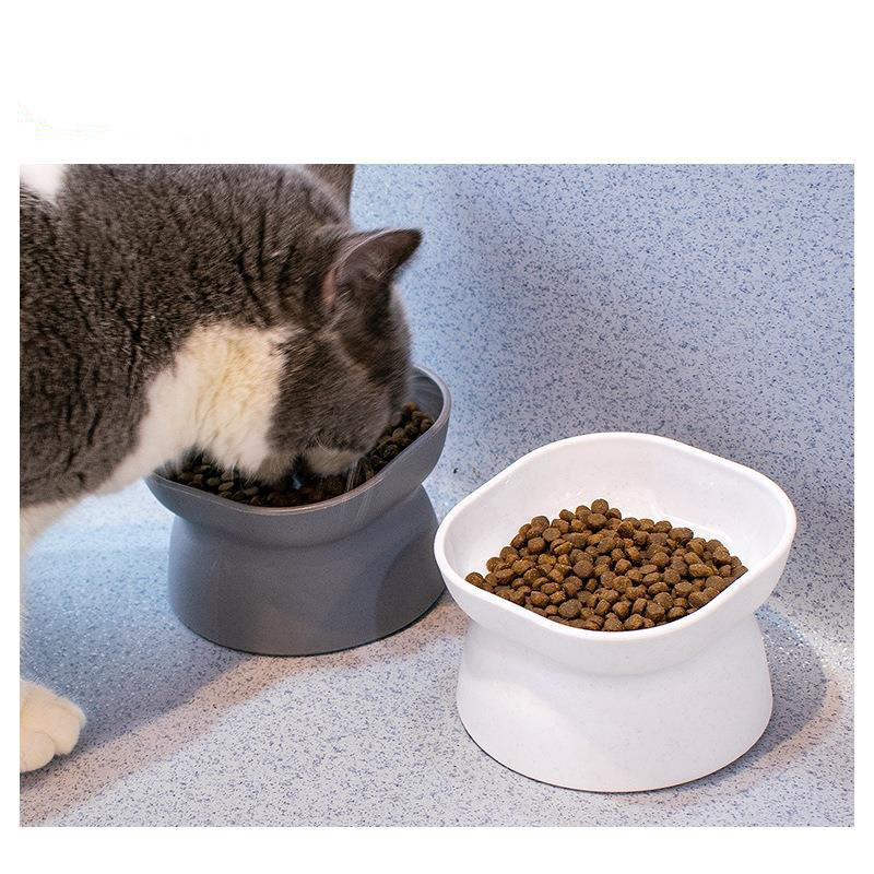 tall cat food bowl