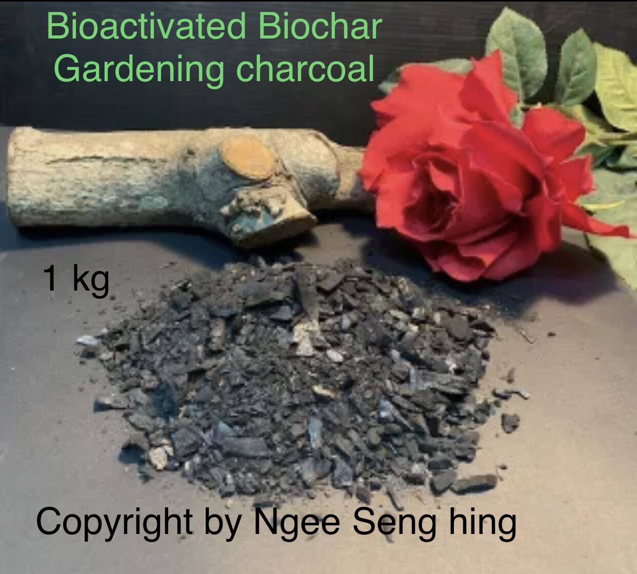 Horticultural Charcoal Organic Bioactive