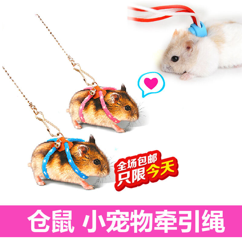 hamster harness leash