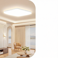 Bull | Ceiling Light Installation and Removal Service Circular Modern Simple