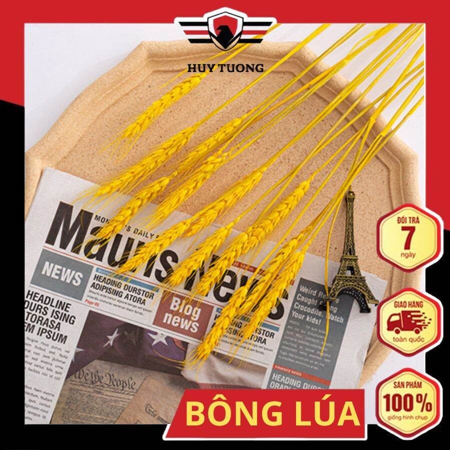 Combo 50 bông lúa mạch màu vàng decor trang trí tết 2024 - Huy Tưởng