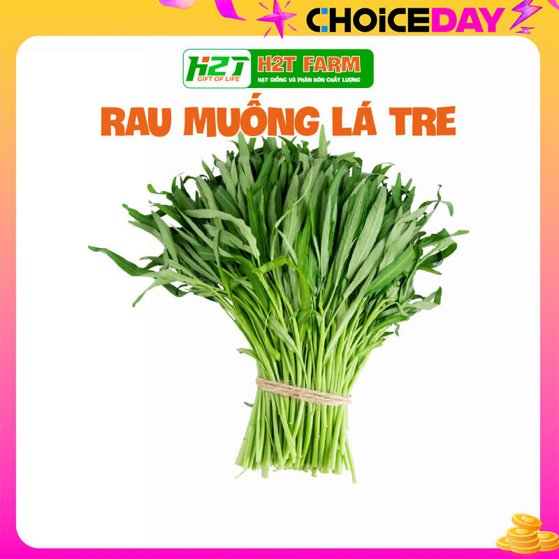 Hạt Giống Rau Muống Lá Tre Hóa Nông Dễ Trồng Nhanh Thu Hoạch