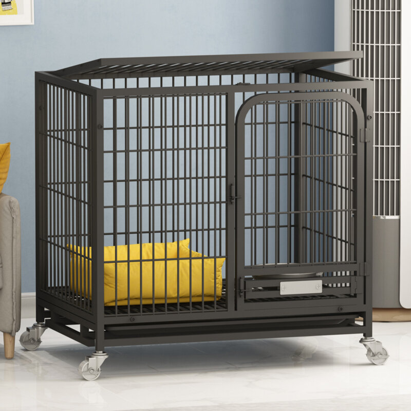 biggest dog crate
