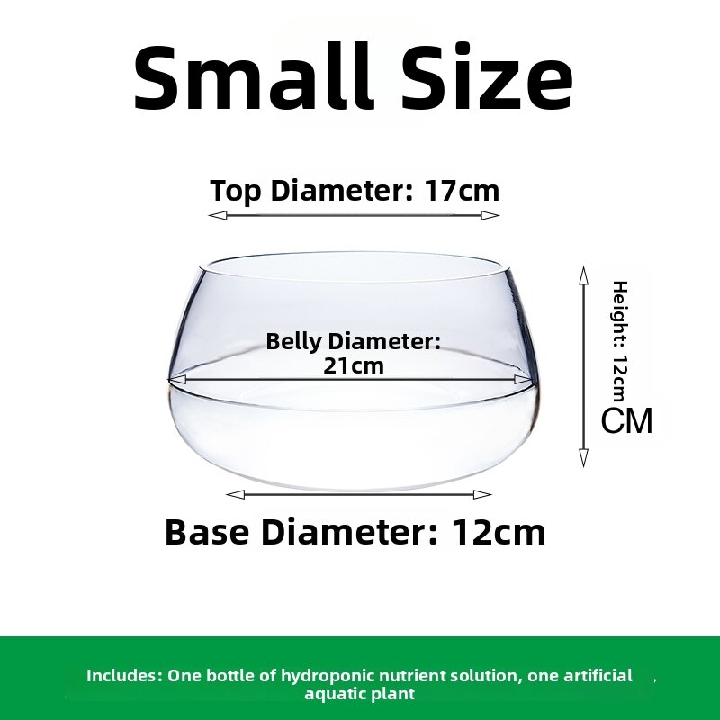Large Size Transparent Glass Vase Creative Hydroponic Plant Flower Pots for Green Ivy Desktop Decoration Simple Style Flower Bottles