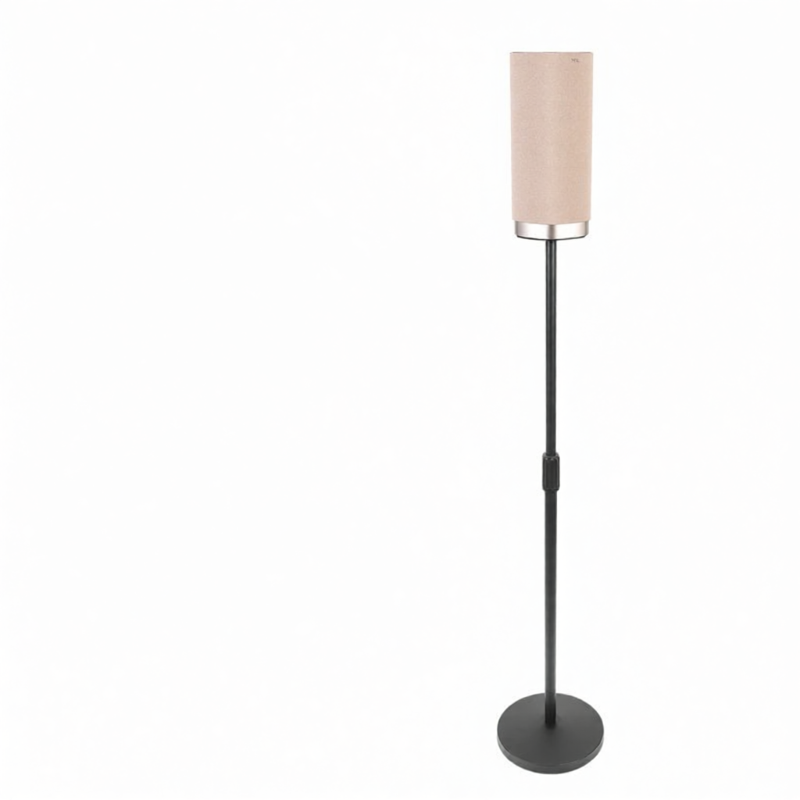 Metal Floor-Standing Speaker Stand for TCL Z100 Wireless Surround