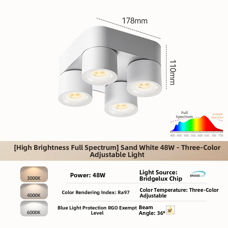 DENGFU | Adjustable Angle Ceiling Downlight