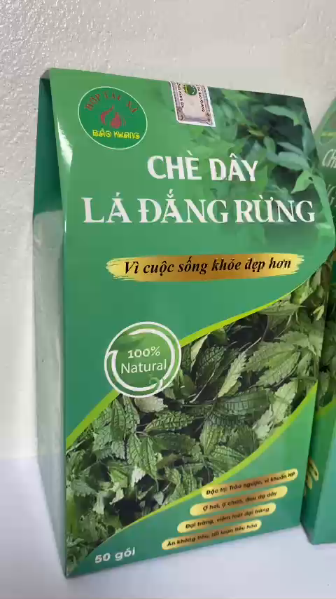 Chè dây, lá đắng rừng (Hộp 40 gói), trà túi lọc chè dây, cho người đau dạ dày, loét dạ dày, tá tràng, mát gan, thanh nhiệt